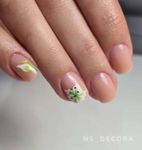 Фотография NS Decora 3